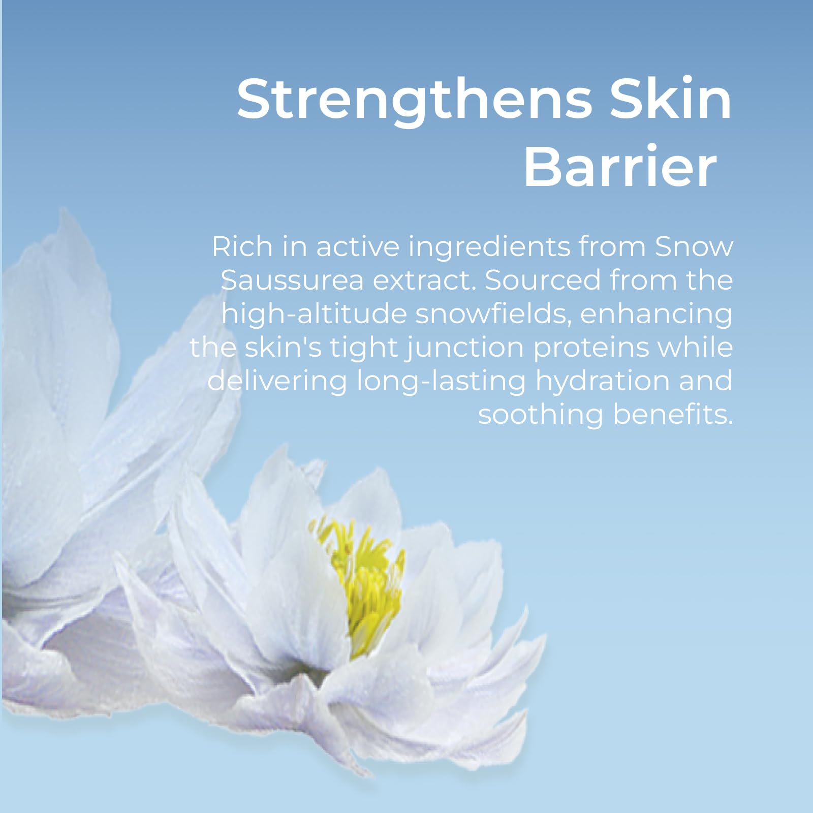 CHANDO HIMALAYA Snow Saussurea Mask close-up texture shows breathable plant-based fibers