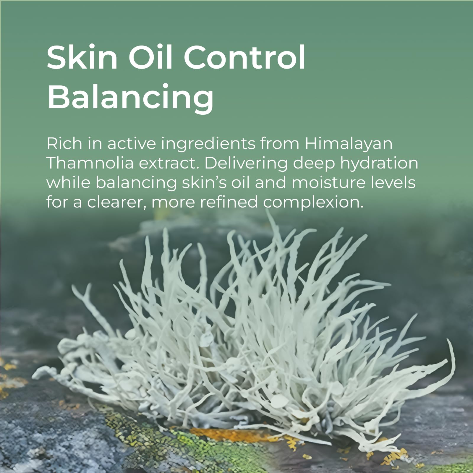 CHANDO HIMALAYA Thamnolia mask micropatch hydration-net detail conveys lasting moisture and smooth skin feel.