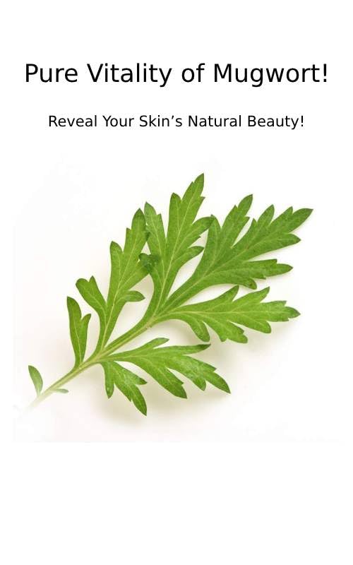 CHARMZONE Mugwort Cream being applied to the skin for soothing care.