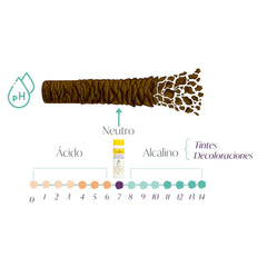 Chihtsai Ph Balancing Rinse No.7 close-up emphasizes color protection