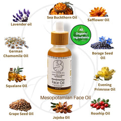 Civil Code Mesopotamian Face Oil texture on skin with a silky, non-greasy finish.