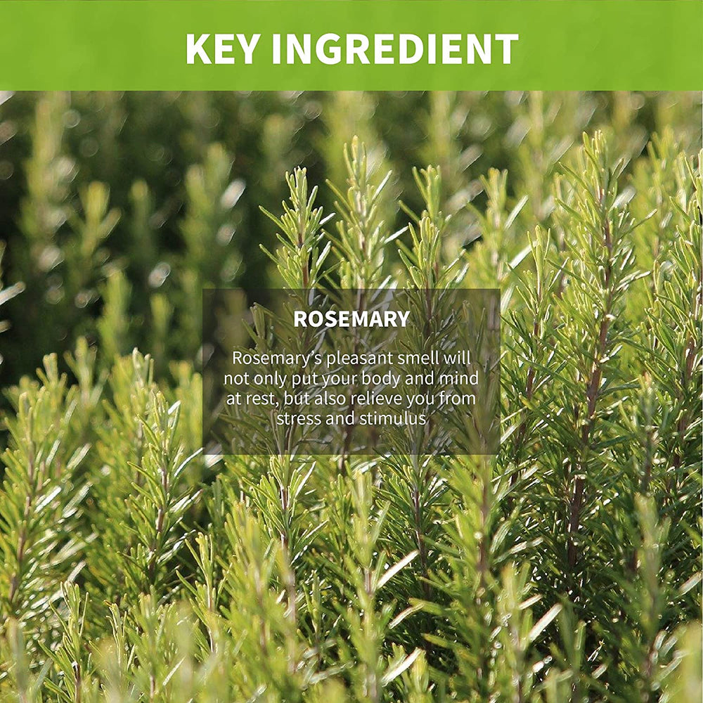 Clevos Natura Foresta Rosemary Shampoo with rosemary leaves emphasizes natural ingredients
