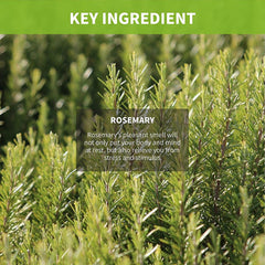 Clevos Natura Foresta Rosemary Shampoo with rosemary leaves emphasizes natural ingredients