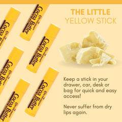 COCOCARE lip protection image highlights dryness defense in windy conditions