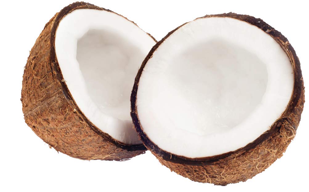 Cocojojo fractionated coconut oil label close up shows vegan and palm free formula