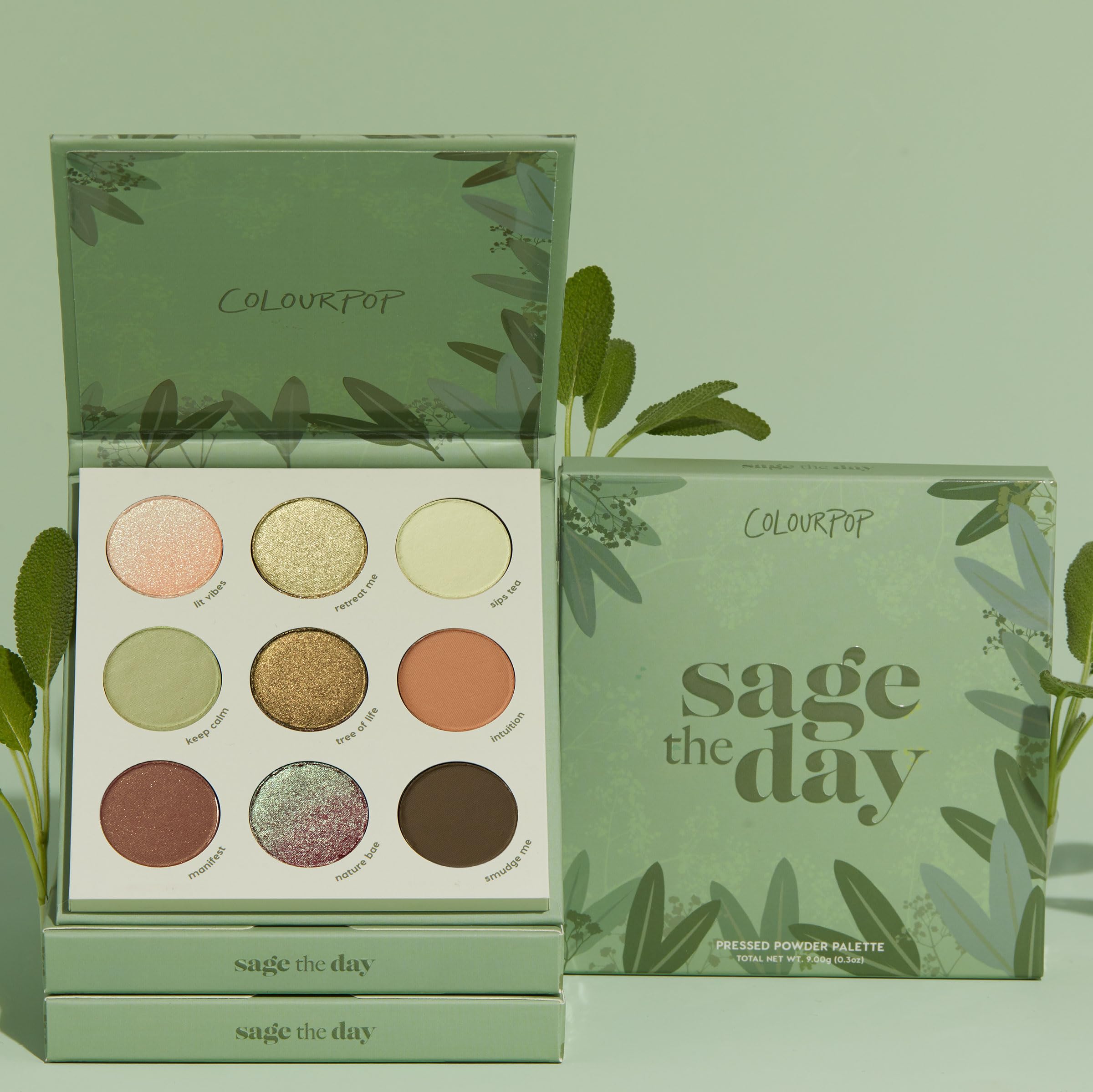 ColourPop Sage the Day eye application shows smooth blending and soft focus.