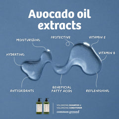 Common Ground shampoo lather close-up, rich and refreshing cleanse