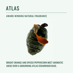 Corpus packaging uses recycled materials supporting sustainable, eco-friendly choices.