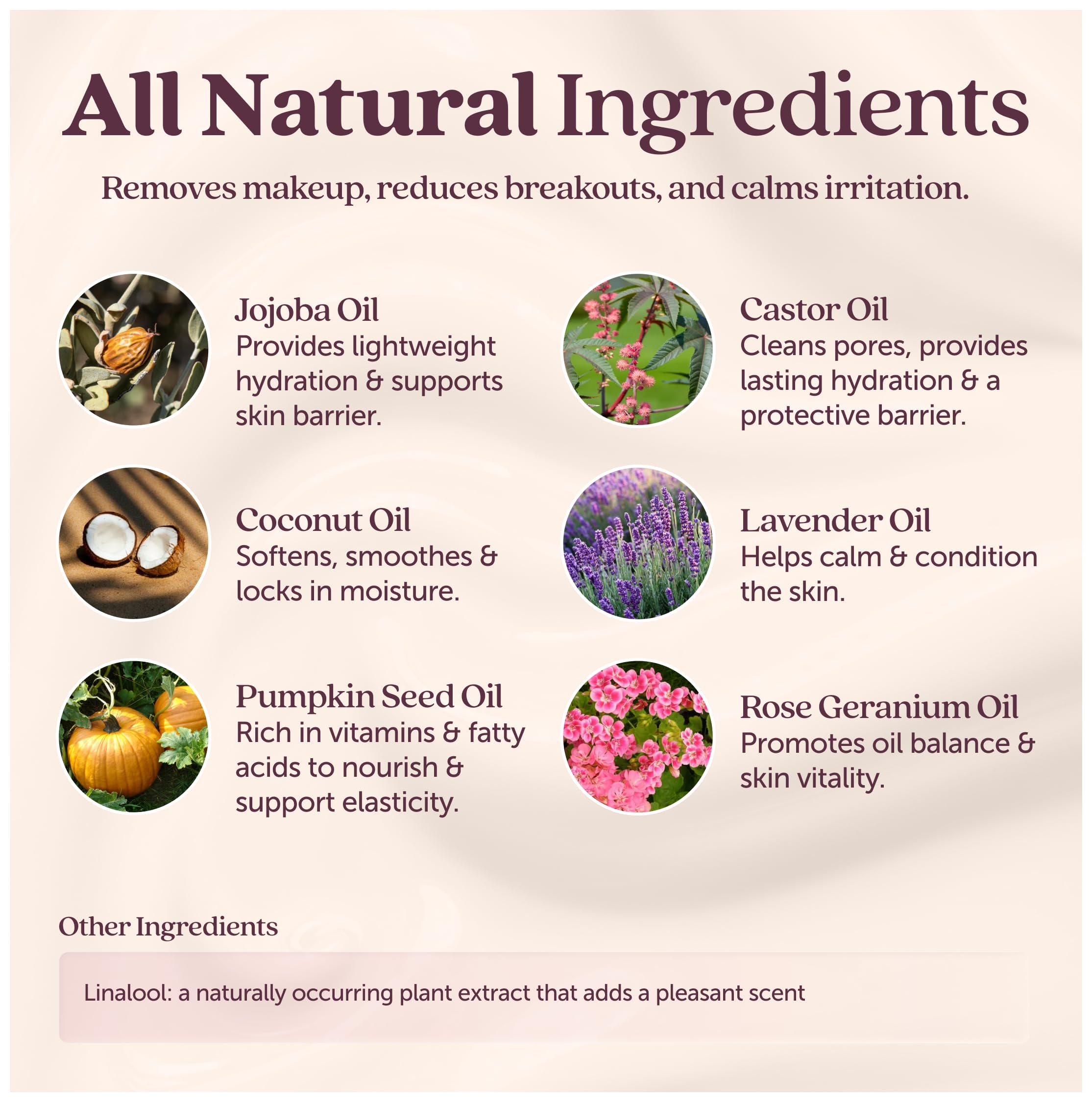 Cosmette Dreamy Deep Pore Cleanser vegan and paraben-free label on packaging.