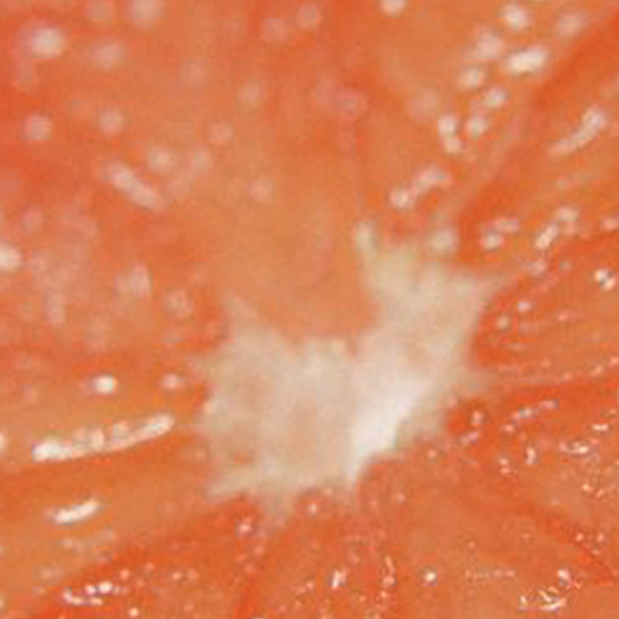 Curve Women's Perfume detail of grapefruit note emphasizes fresh zest.