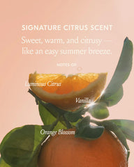 DAE Freshly Squeezed Wash Set applied to hair for lightweight, clean feel.