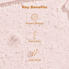 DAE Prickly Pear Hair Oil dropper detangles and adds shine