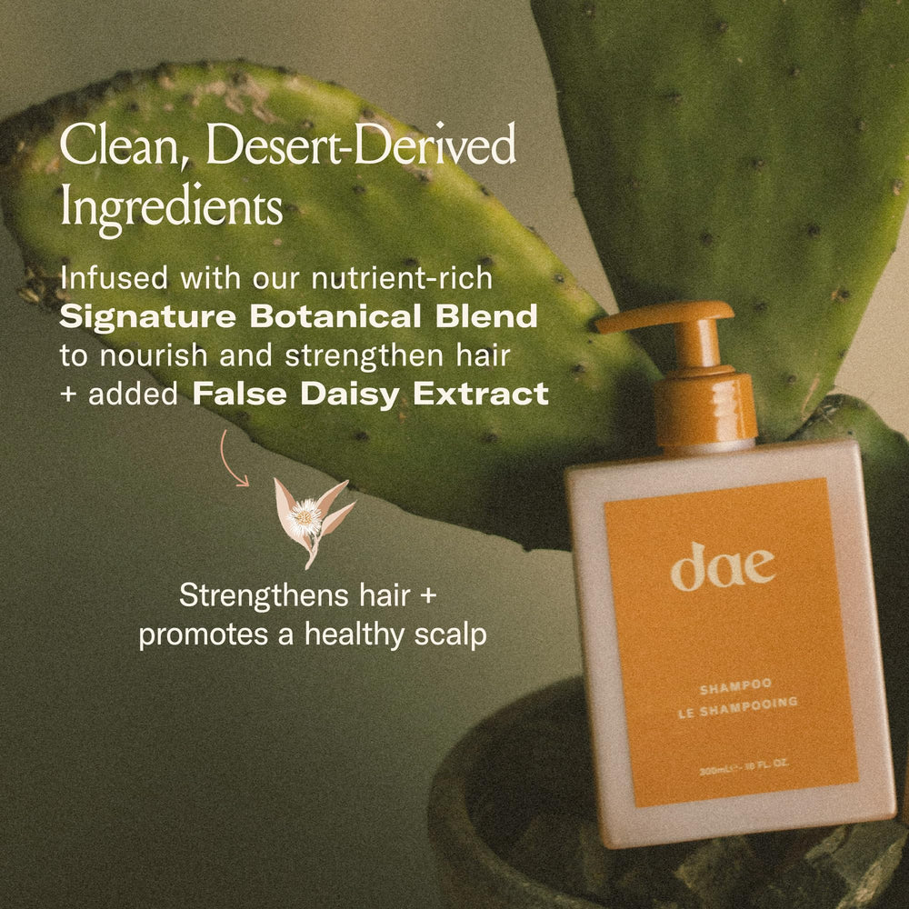 DAE Signature Shampoo moringa oil shot focuses on moisture and elasticity