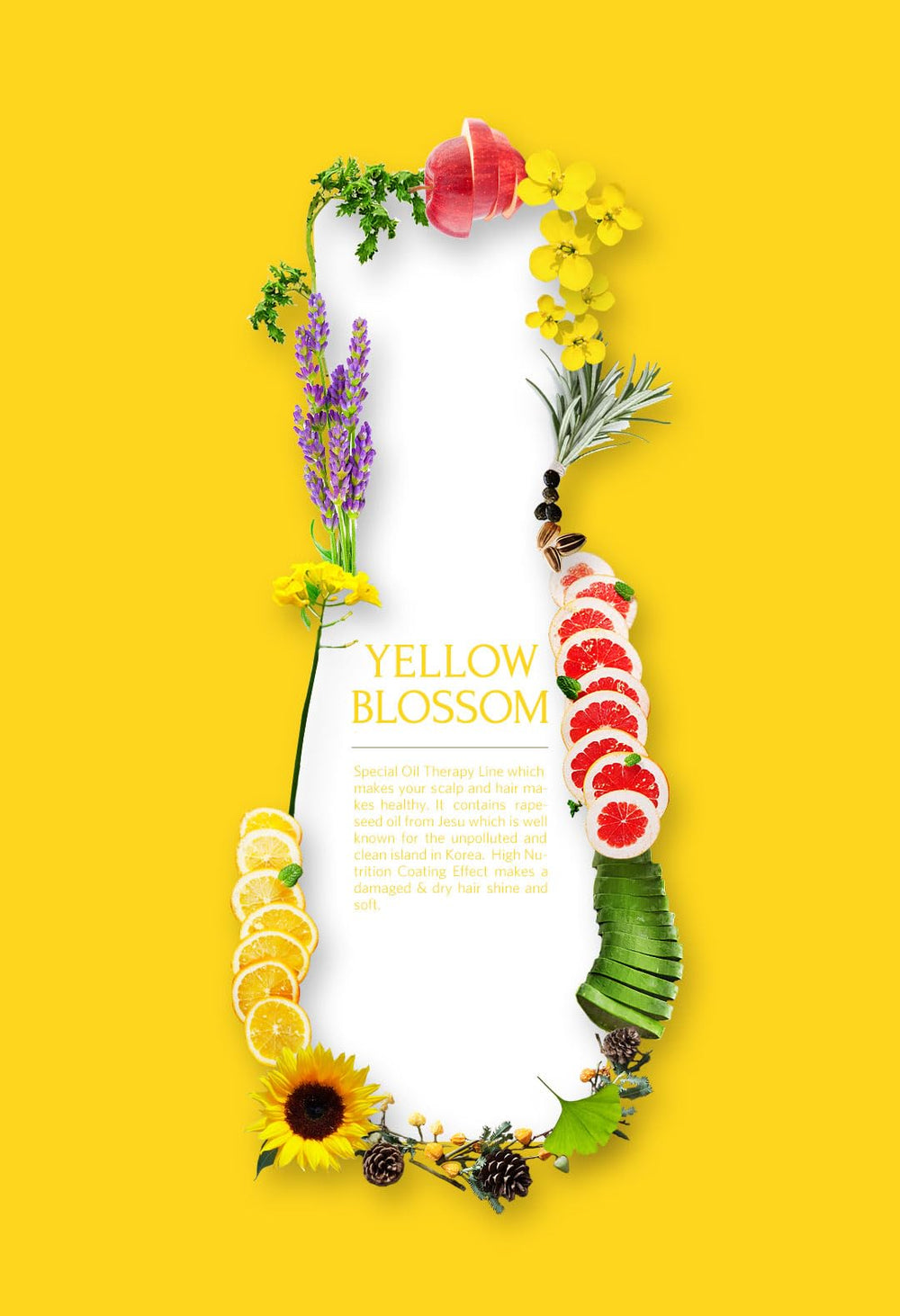 Daeng Gi Meo Ri rapeseed oil droplets illustrate nourishing moisture for scalp comfort