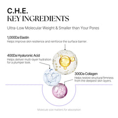 DaseuL’ C.H.E. Meltin Shell ultra-low molecular formula with deep skin absorption