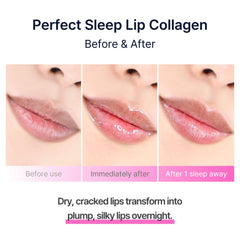 DaseuL’ Perfect Sleep Lip Collagen nourishes lips with rice protein.