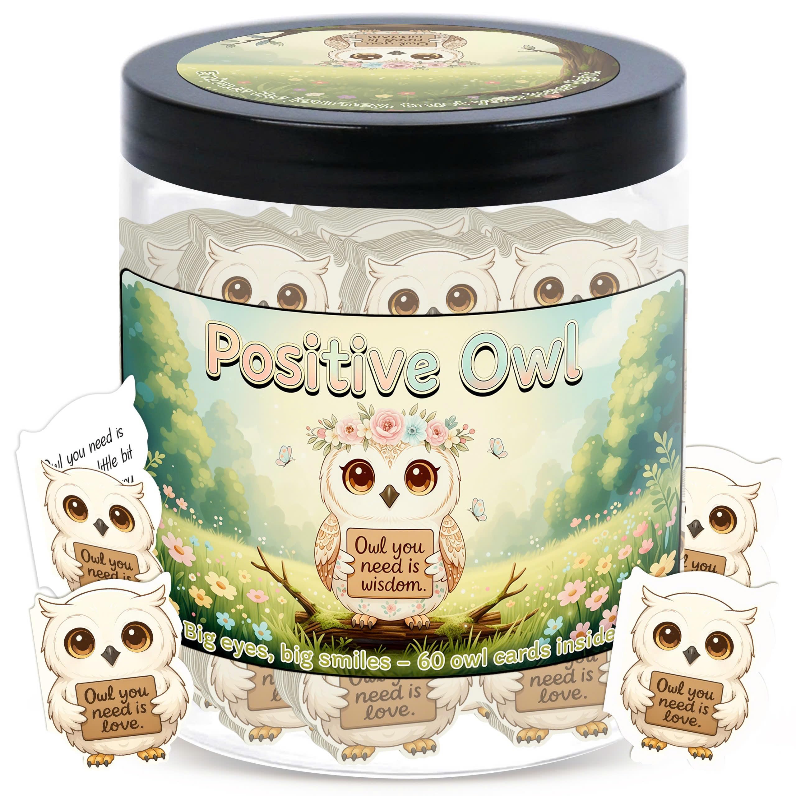 DEARMINE Positive Owl Jar cover featuring owl design for cozy desk decor.