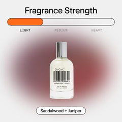 DedCool bottle under soft lighting conveys premium fragrance aura.
