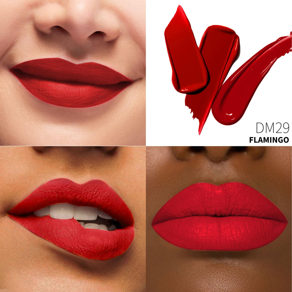 Depuplum 3pc matte liquid lipstick brown shade for versatile everyday wear.
