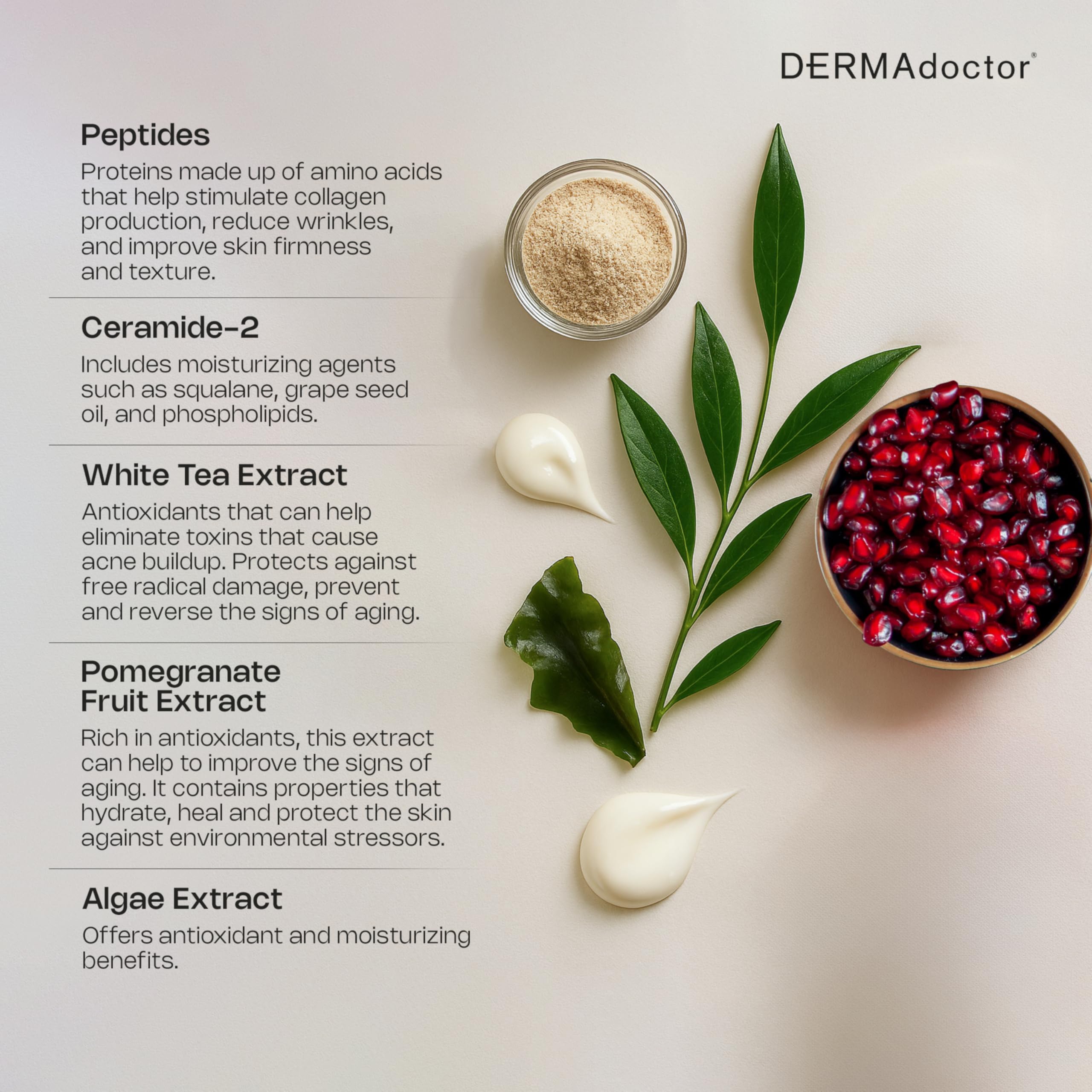 DERMAdoctor face-neck-decollete hydration image demonstrates full-area care.