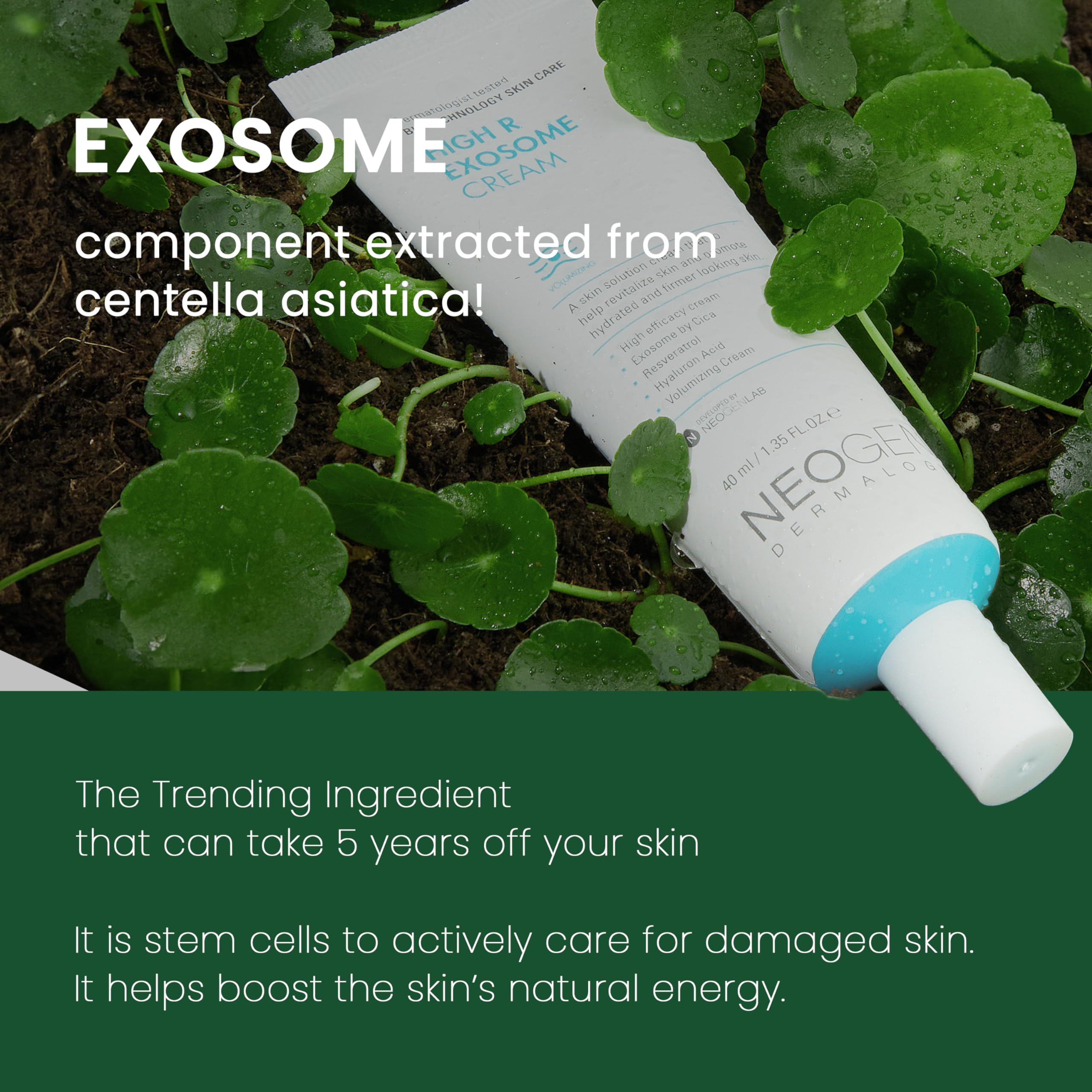 Cream applied to hand demonstrating quick absorption and daily barrier support by DERMALOGY
