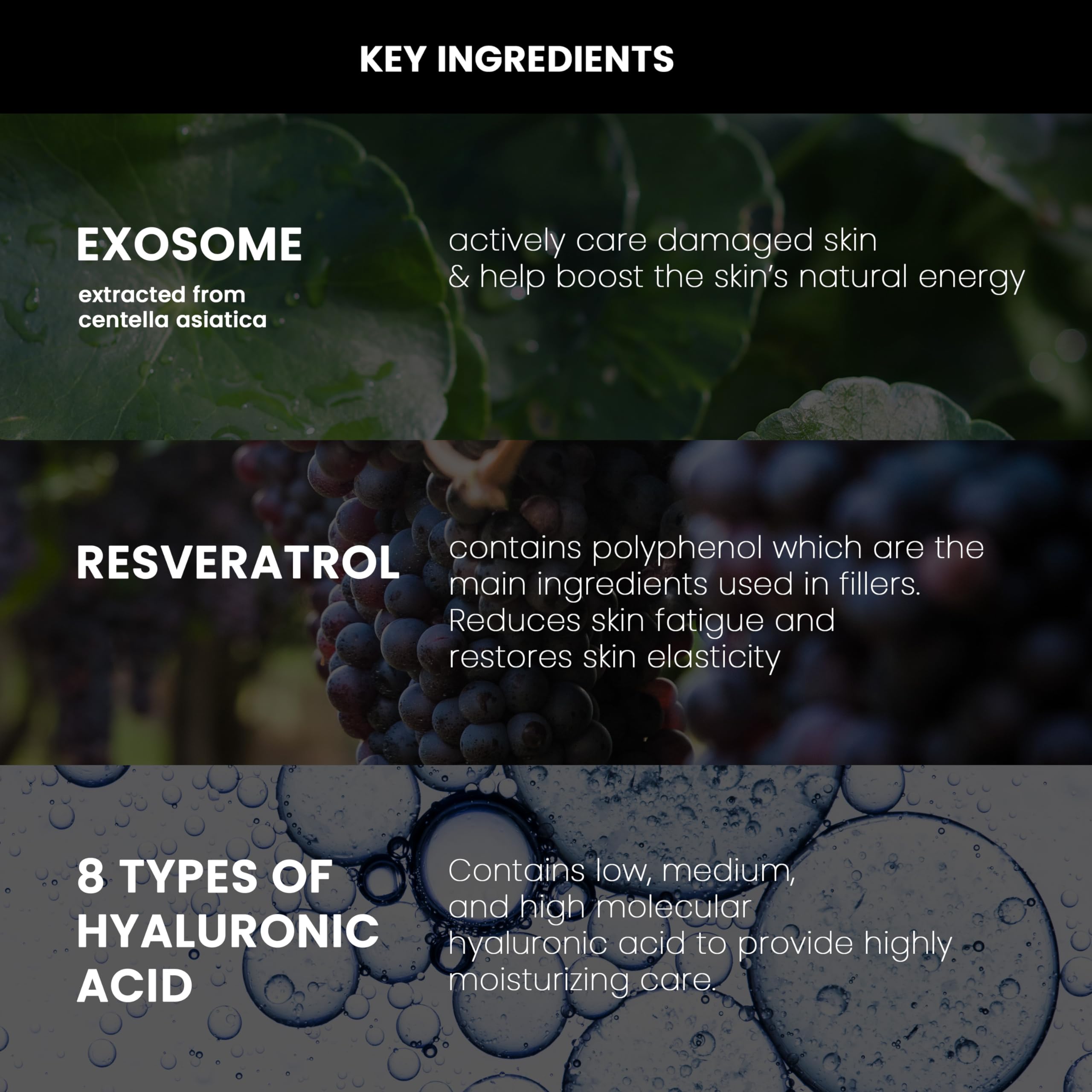 Packaging and ingredients reveal peptides and vitamins for DERMALOGY by NEOGENLAB vitality