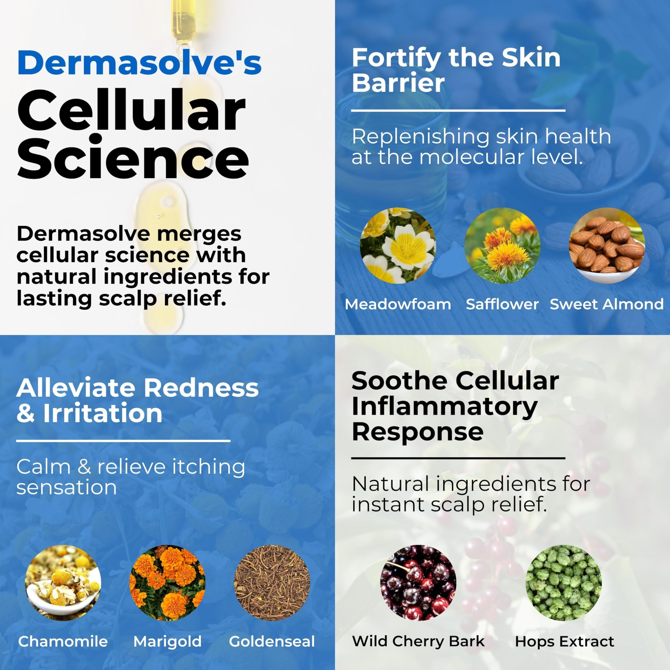 Dermasolve packaging front showing trusted dermatologist-approved branding
