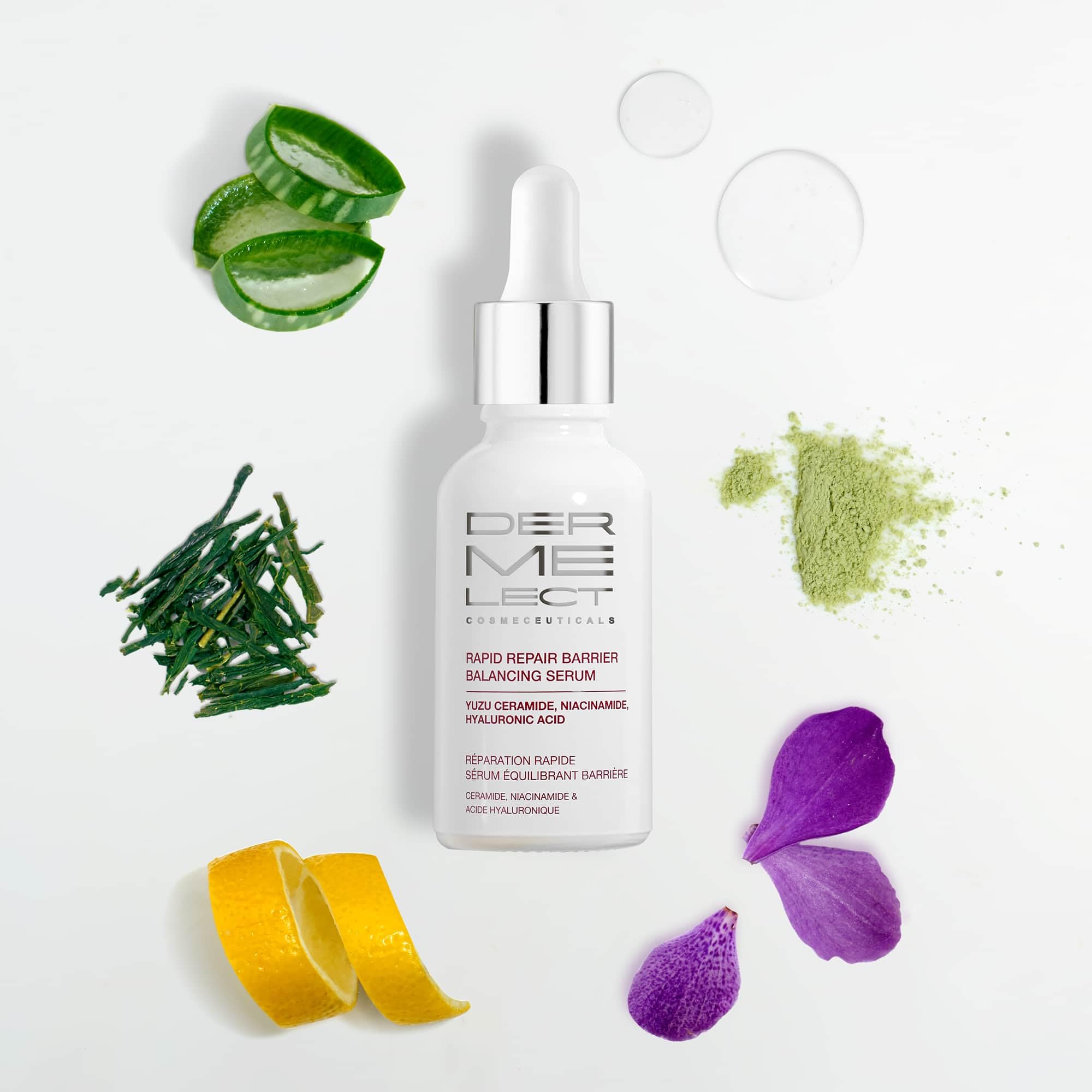 Dermelect Rapid Repair Serum ingredients graphic highlights Niacinamide and Hyaluronic Acid.