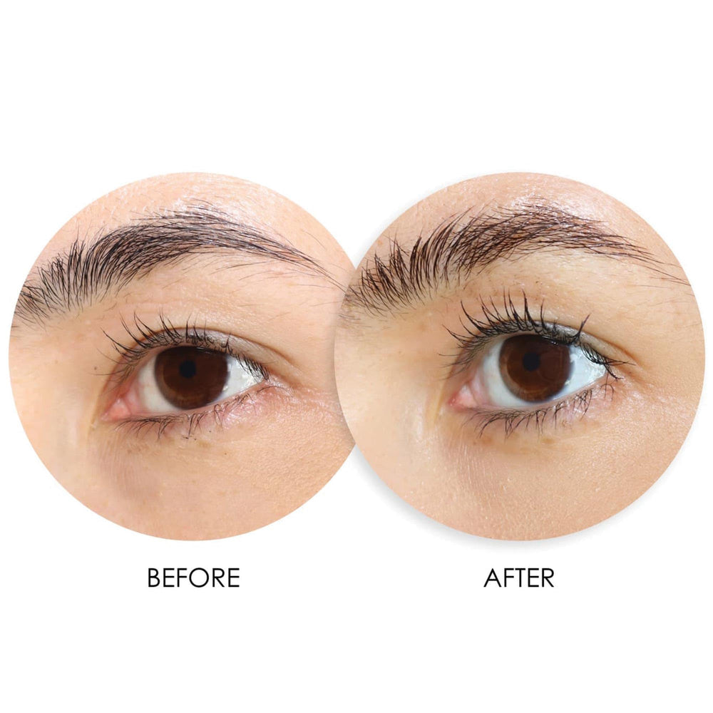 Dermelect XL Lash Volumizer applied daily supports lash conditioning