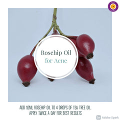 dve herbes Rosehip Oil label detail emphasizes vegan, cruelty-free, solvent-free nature