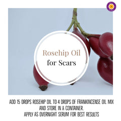 dve herbes Rosehip Oil skin application depicts lightweight, non-greasy nourishment