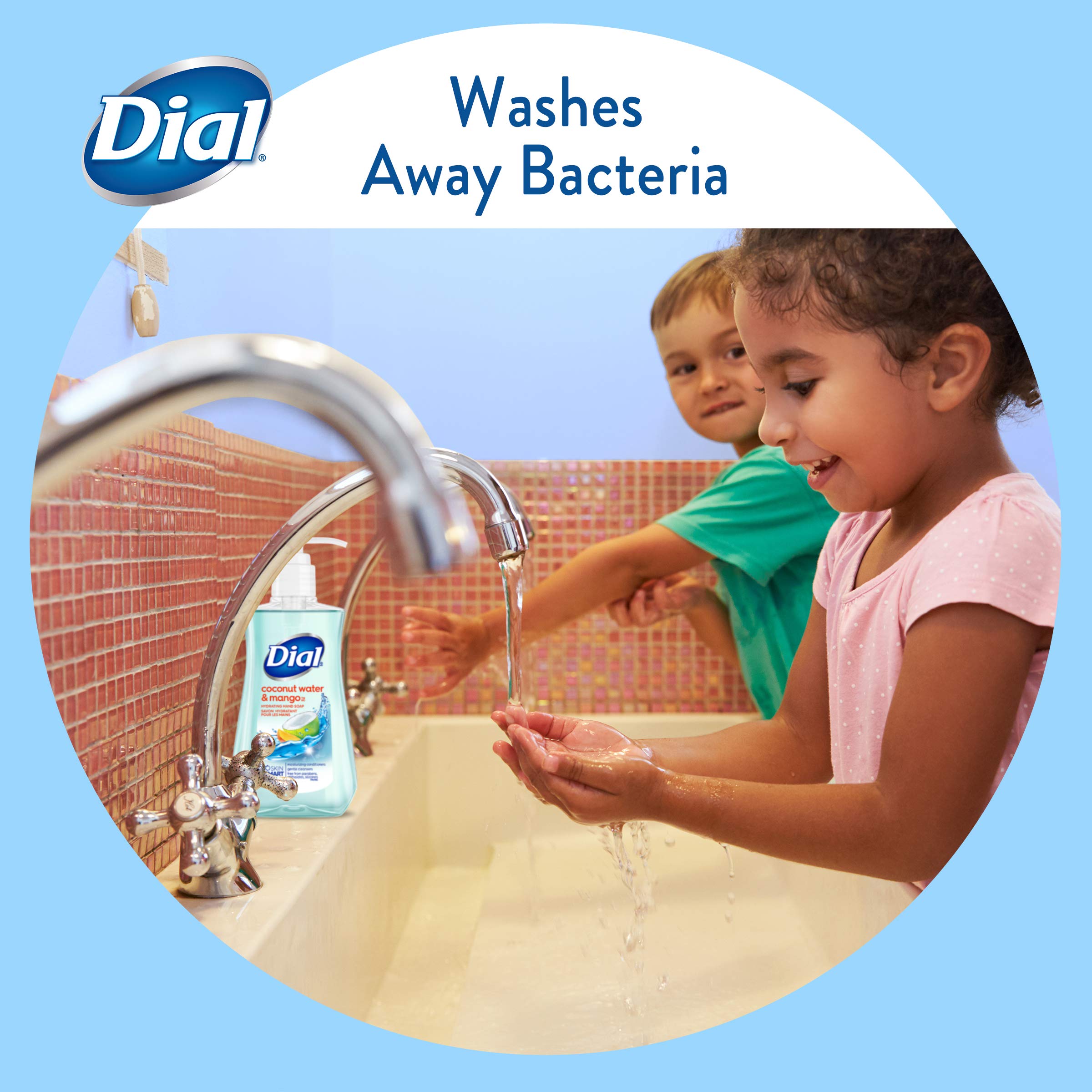 Dial Coconut Water Mango family-use hand soap on sink for shared spaces.