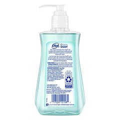 Dial Coconut Water Mango pump dispensing gentle lather for family handwashing.