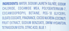Dial Coconut Water Mango scented foam evokes tropical mood during handwashing.