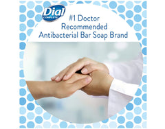 Dial Mountain Fresh surface shine highlights antibacterial formula for daily wash.