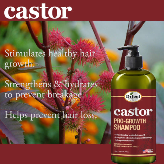Lather created by Difeel Castor Pro-Growth Shampoo on hair