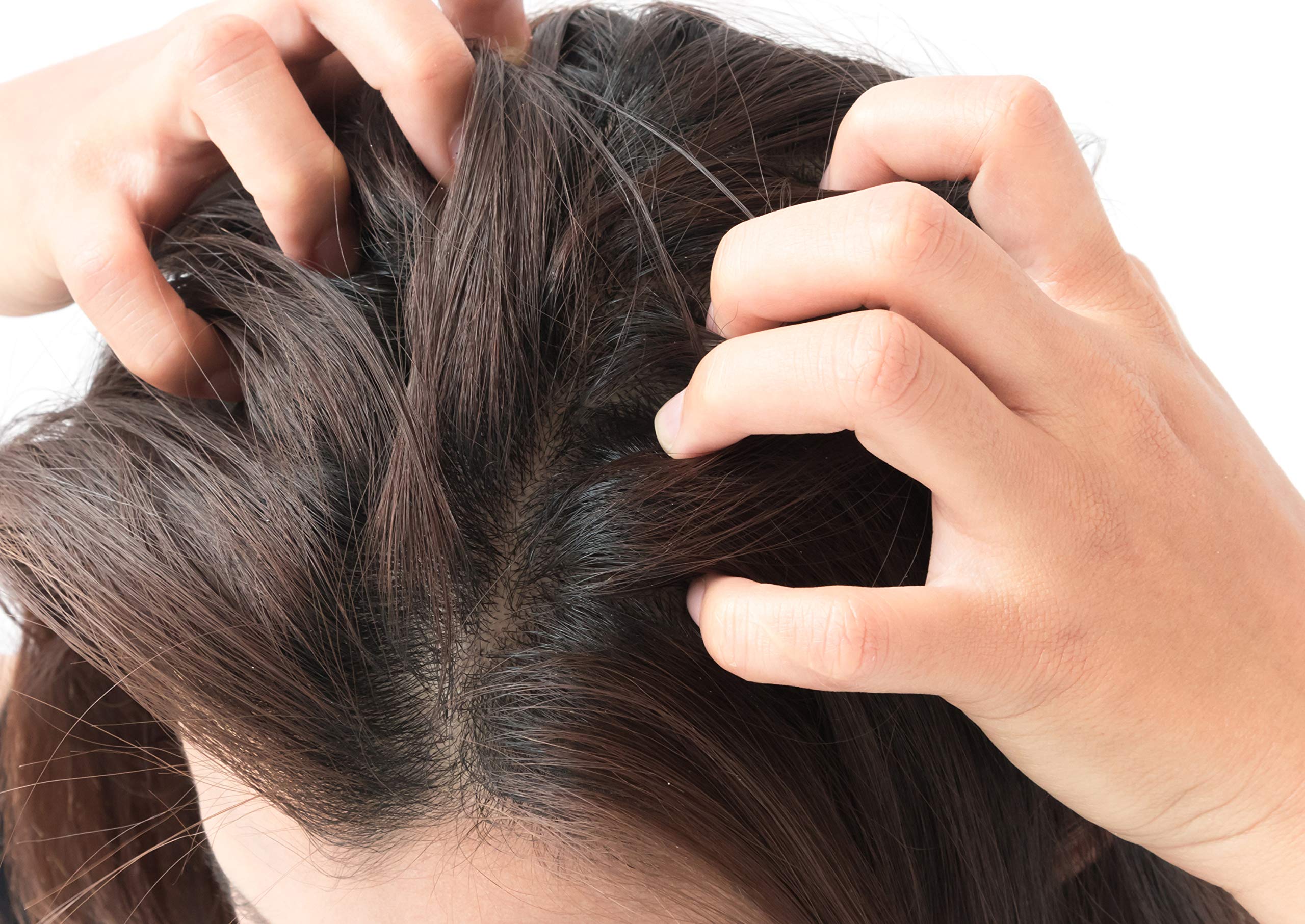 Difeel Tea Tree Oil massaged onto the scalp for care.