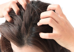 Difeel Tea Tree Oil massaged onto the scalp for care.