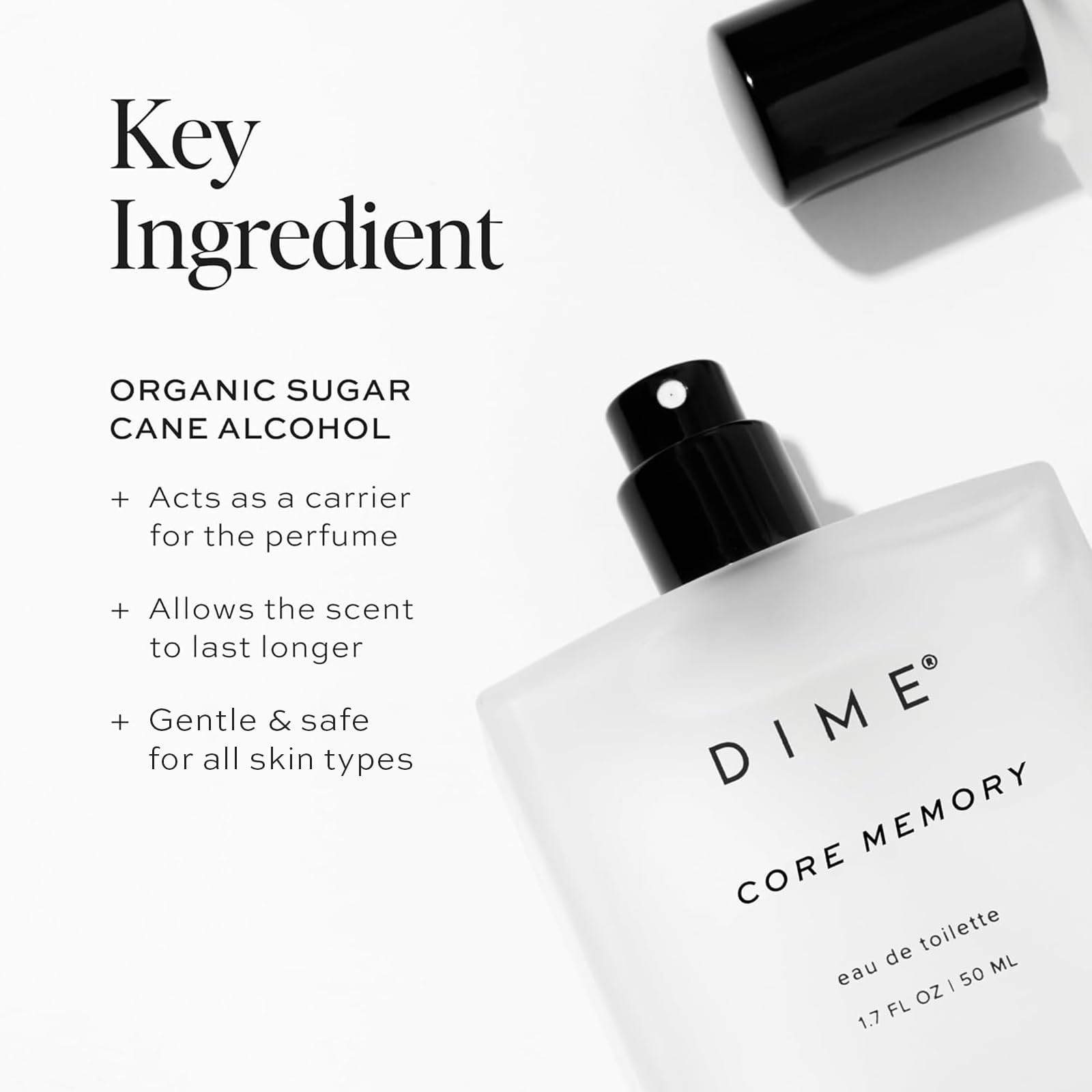 DIME Core Memory Perfume cedarwood base adds warm depth