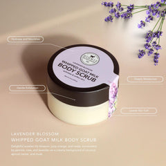 Dionis Goat Milk Whipped Scrub texture closeup shows creamy exfoliation