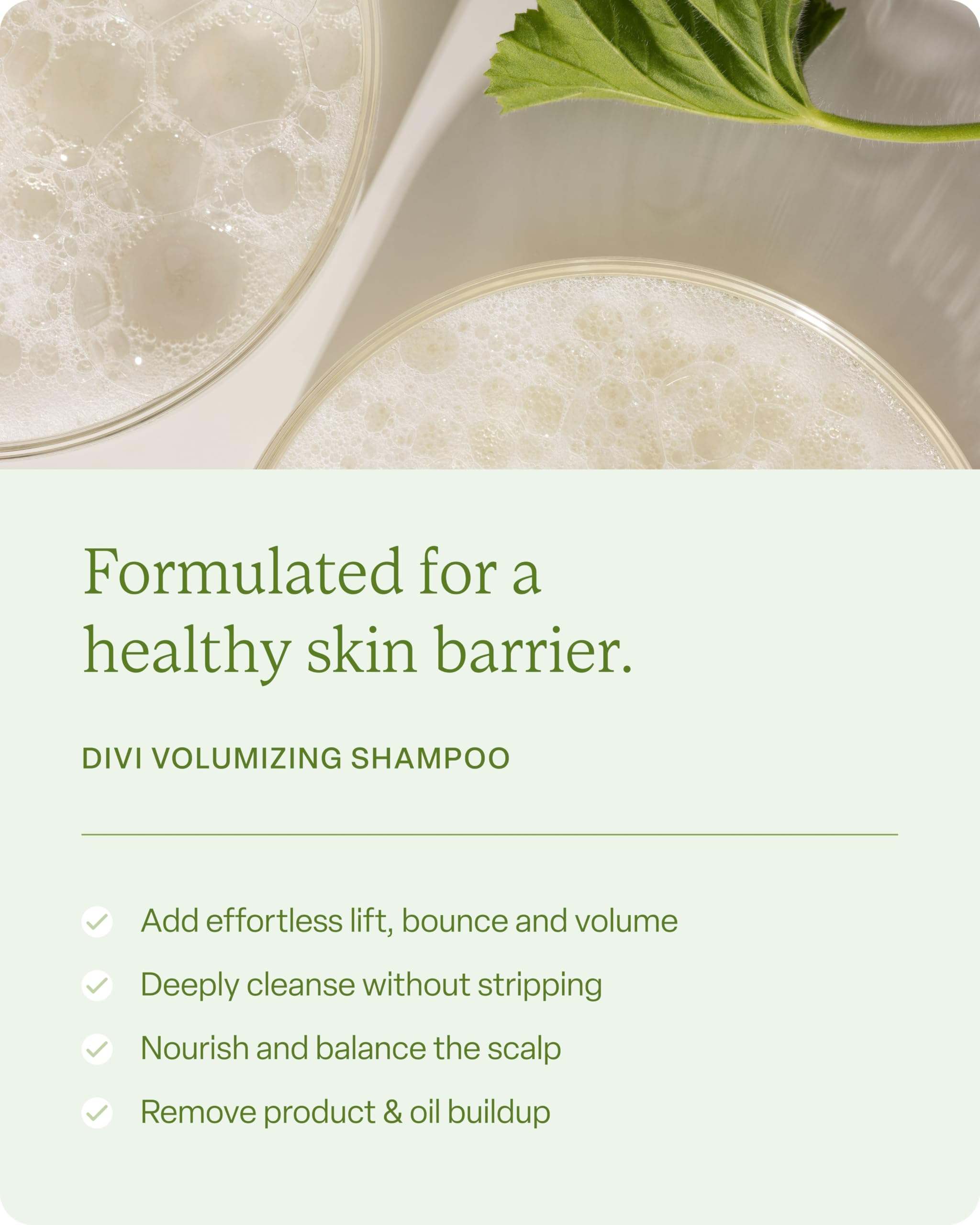 Divi packaging box showcases the clean, safe bundle