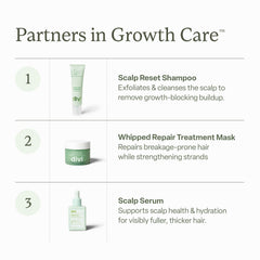 Divi scrub particles close-up on scalp illustration of exfoliation