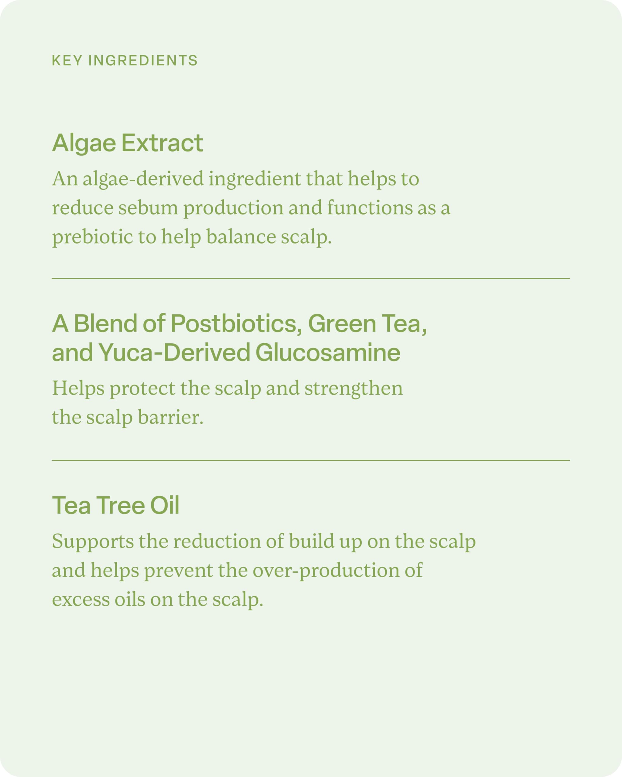 Divi Hydrating Shampoo with jojoba seed oil soothing dry hair close-up.