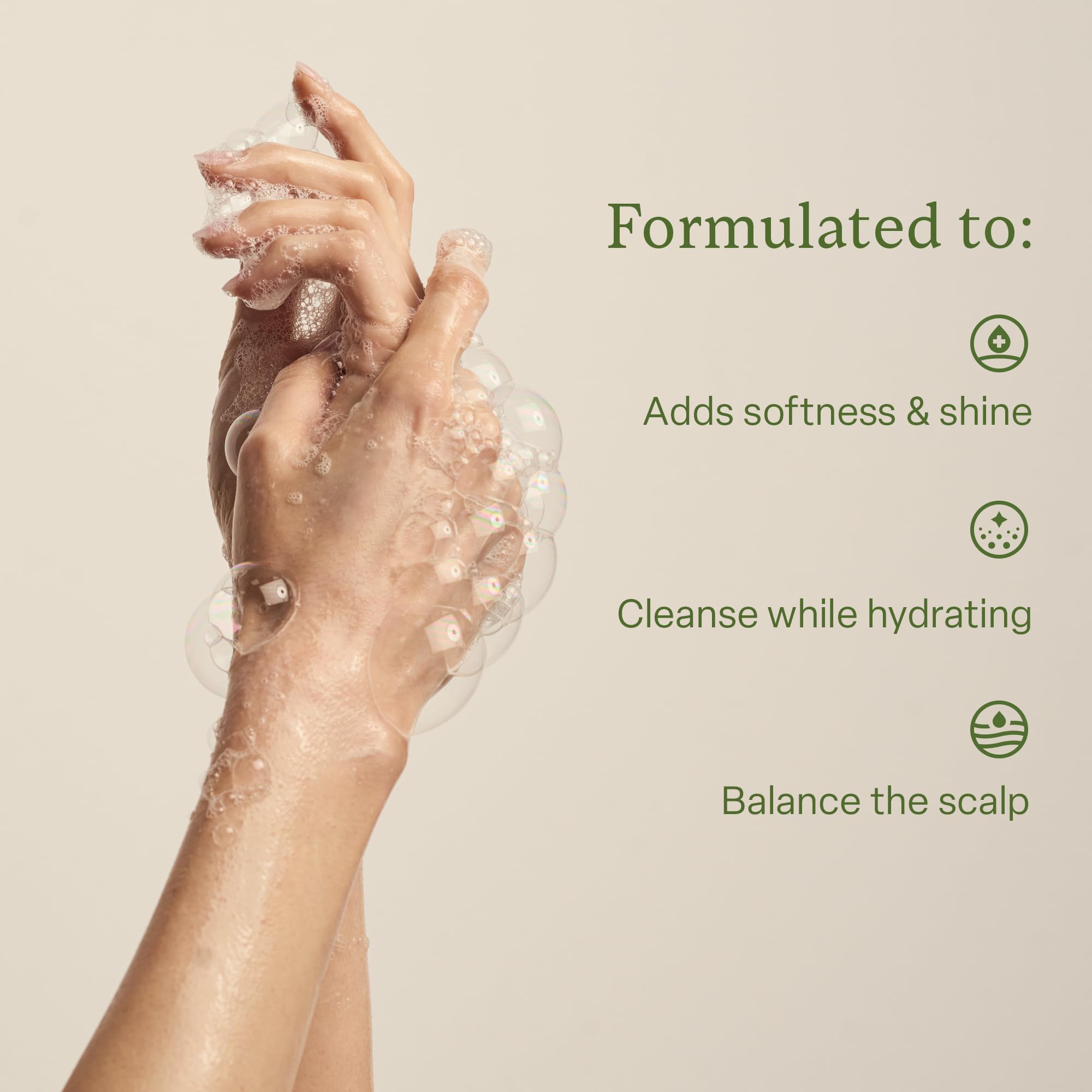 Divi Hydrating Shampoo ingredient shot featuring tea tree oil for refreshing cleanse.