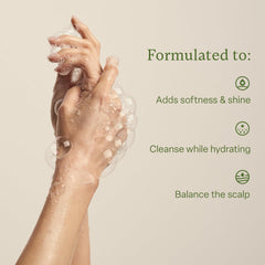 Divi Hydrating Shampoo ingredient shot featuring tea tree oil for refreshing cleanse.