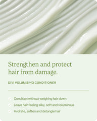 Divi ingredient panel highlights amino acids and plant extracts