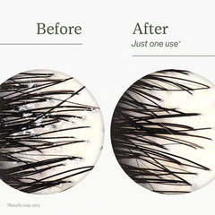 Divi oil-control formula close-up illustrating targeted oil balance for scalp