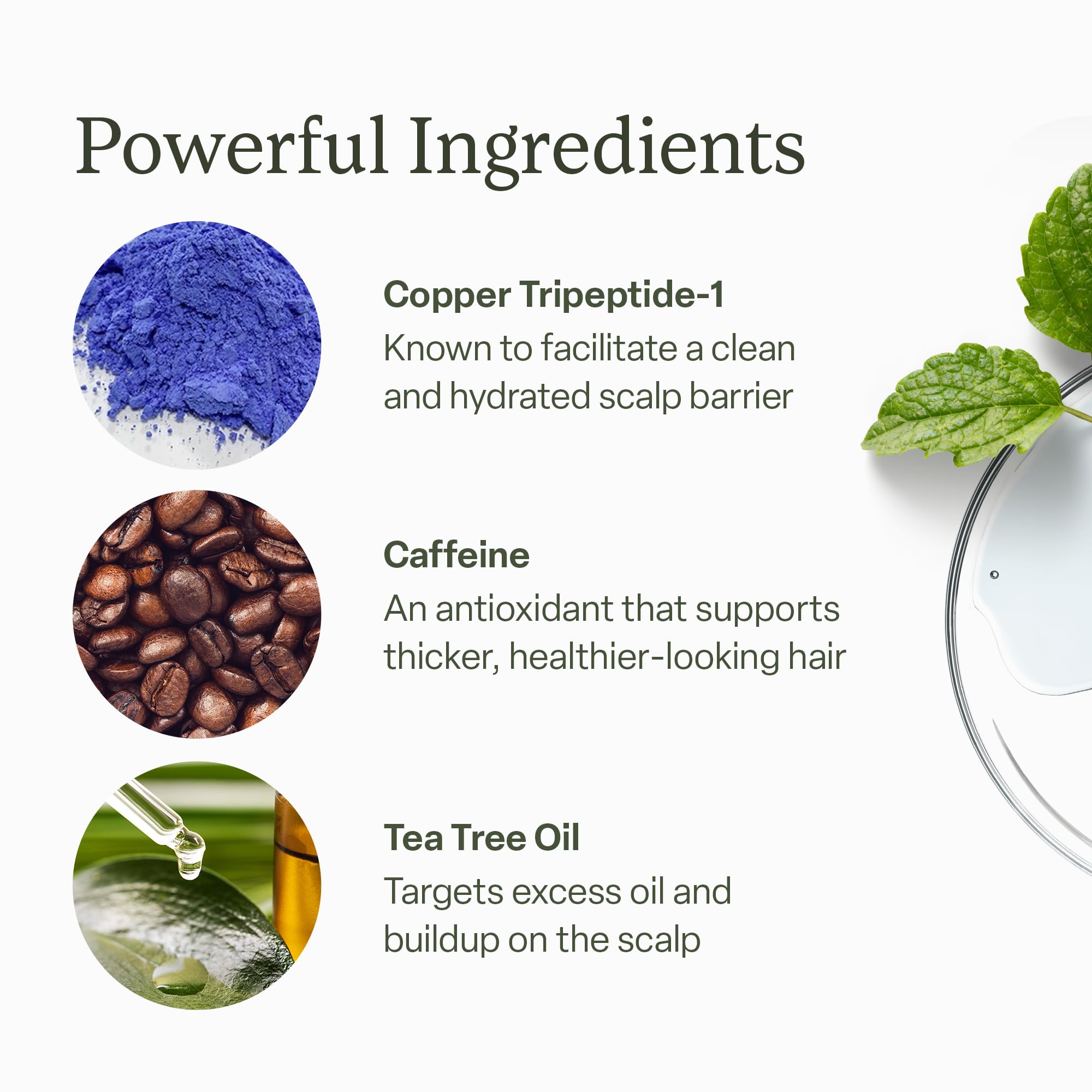 Divi Scalp Serum extensions-safe formula compatible with hair extensions
