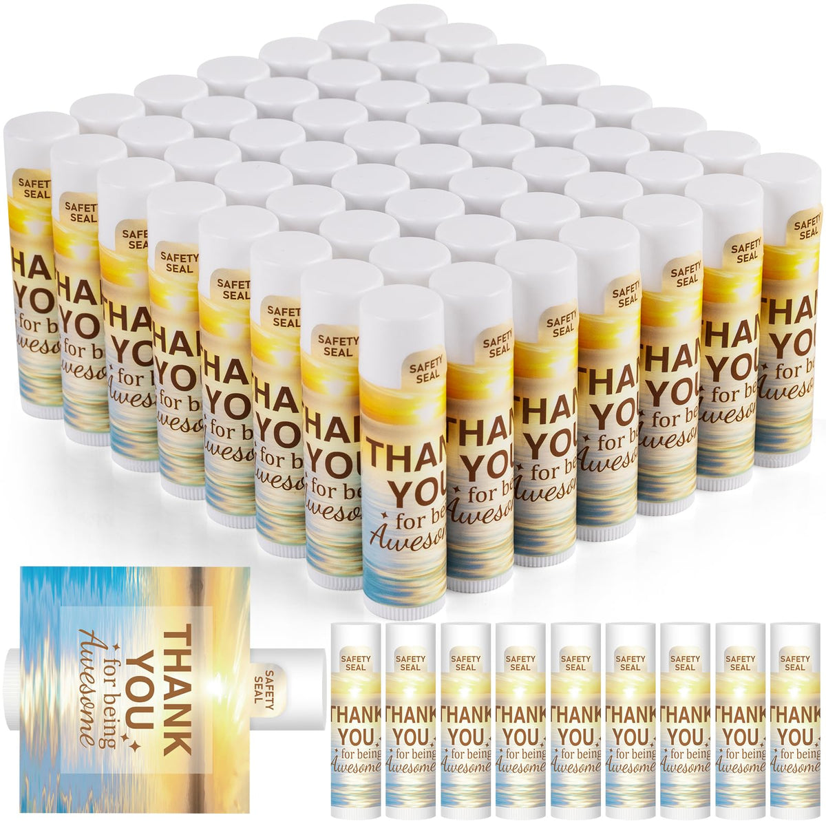 DMSKY lip balm bulk vanilla pack front view for gifting and care packages.