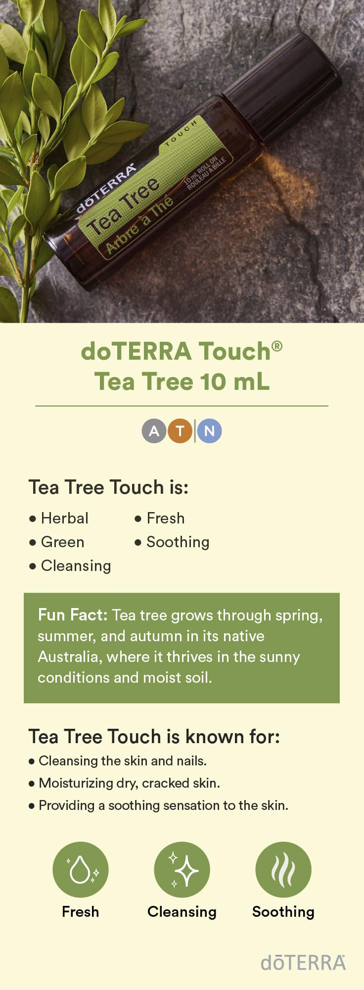 doTERRA Melaleuca Touch roll-on application shows targeted topical use